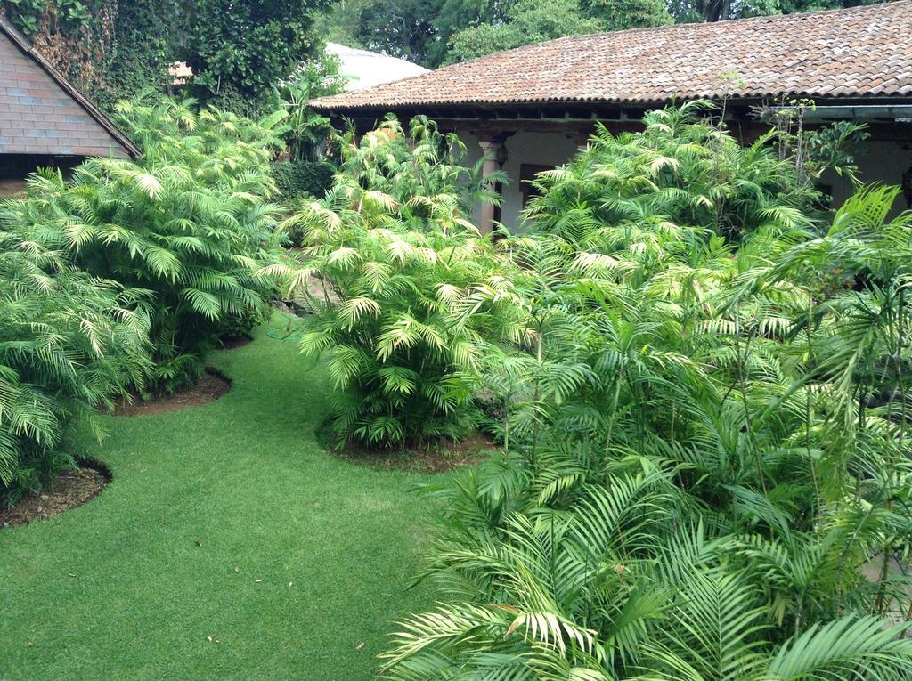 Uruapan  Hacienda San Pedro酒店 外观 照片